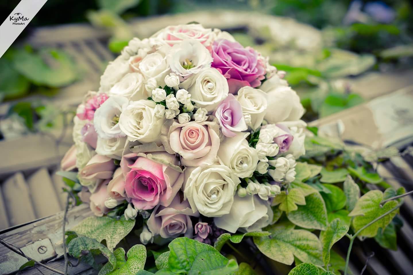 profile for google maps.jpg